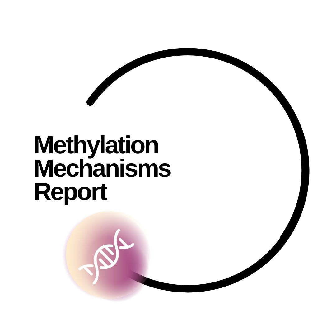 Methylation Mechanisms Report - Dante Labs World