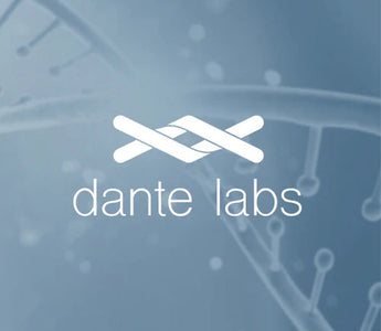 Dante Labs establishes the first of its Regional Medical Genomics Boards in Europe made of national and multinational world leaders in genomics