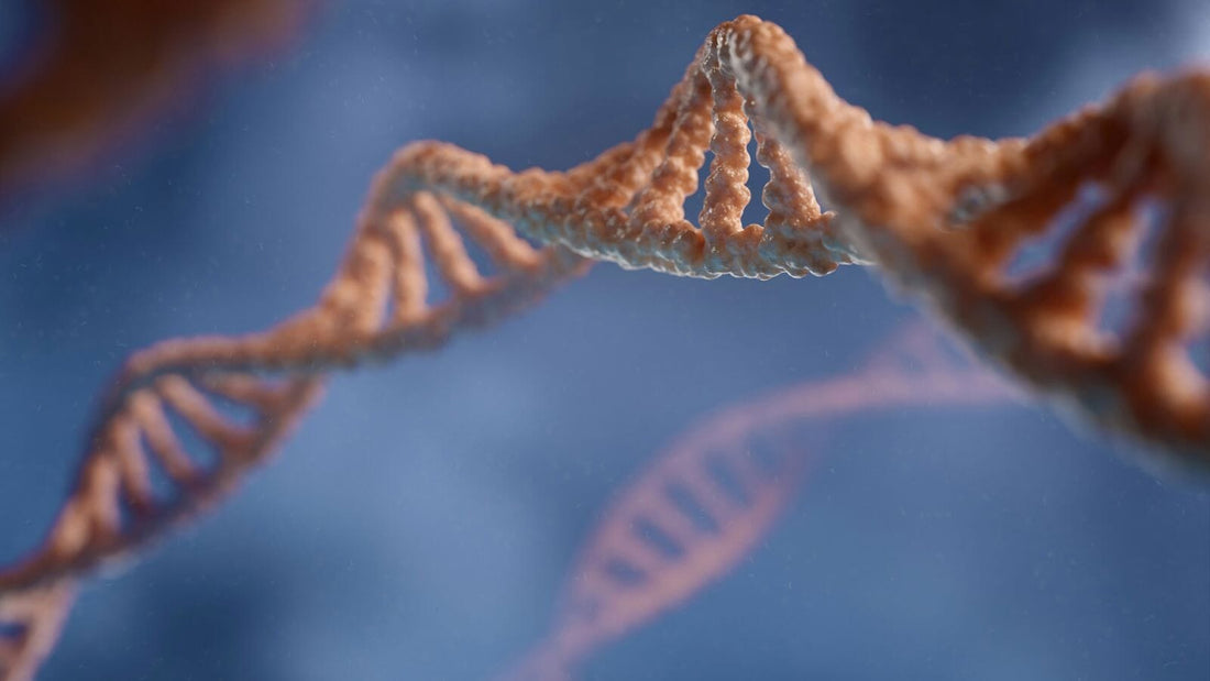 3D render of DNA double helix structure