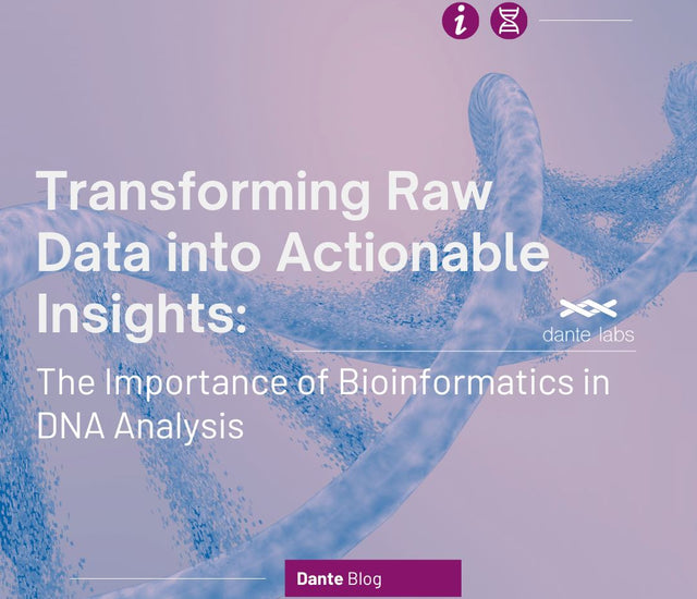 Transforming Raw Data Into Actionable Insights The Importance Of Bioi Transforming Raw Data Into Actionable Insights The Importance Of Bioi