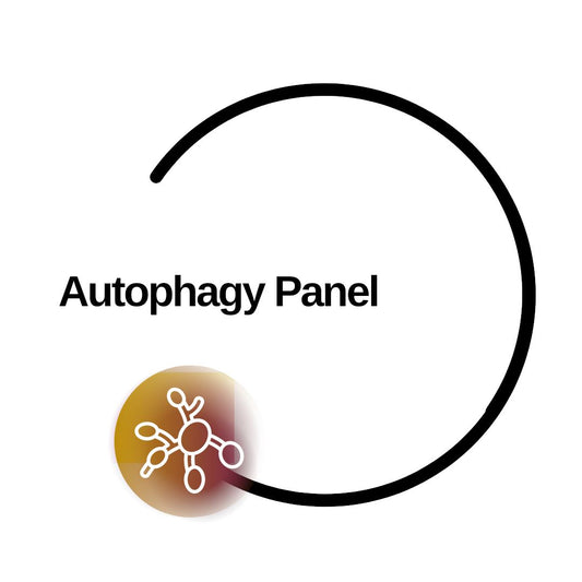 Autophagy Panel - Dante Labs World