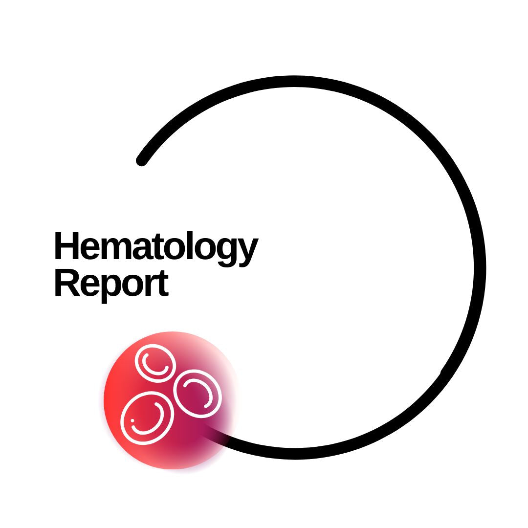 Hematology Report - Dante Labs World