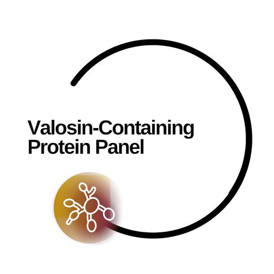 Valosin-Containing Protein Panel - Dante Labs World