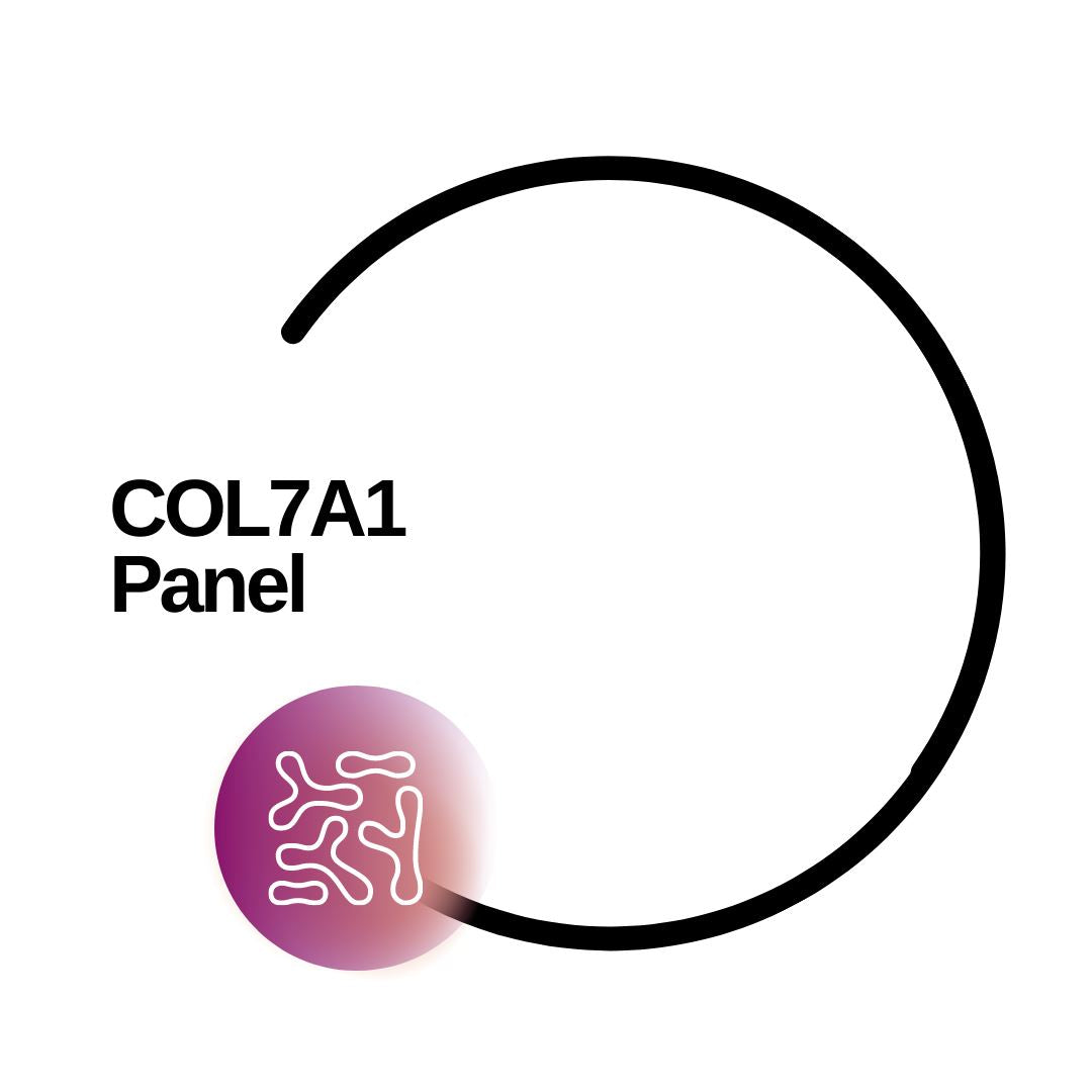 COL7A1 Panel - Dante Labs World