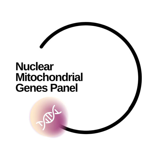 Nuclear Mitochondrial Genes Panel - Dante Labs World